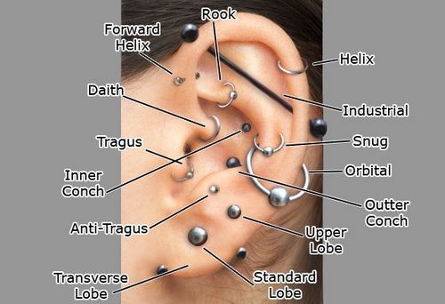 variant ear piercing Cute Ear Piercings for Girls