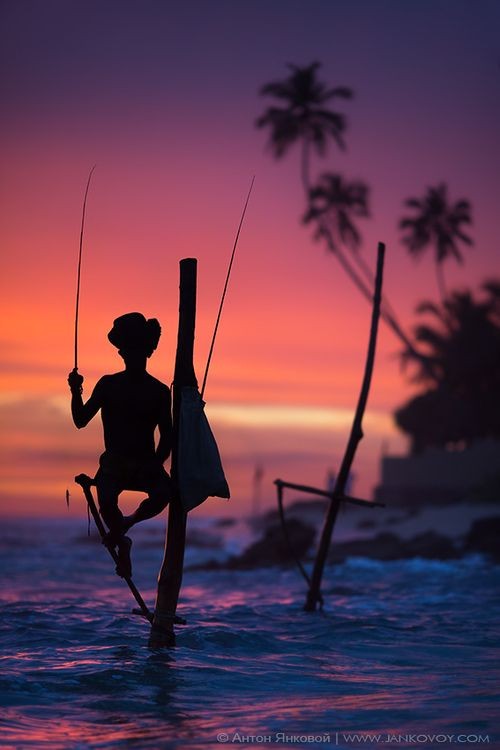 Sri Lanka’s Stilt Fisherman, Sri Lanka, Ahan...