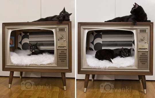 DIY Cat Bed from Vintage TV, you have to be real c...