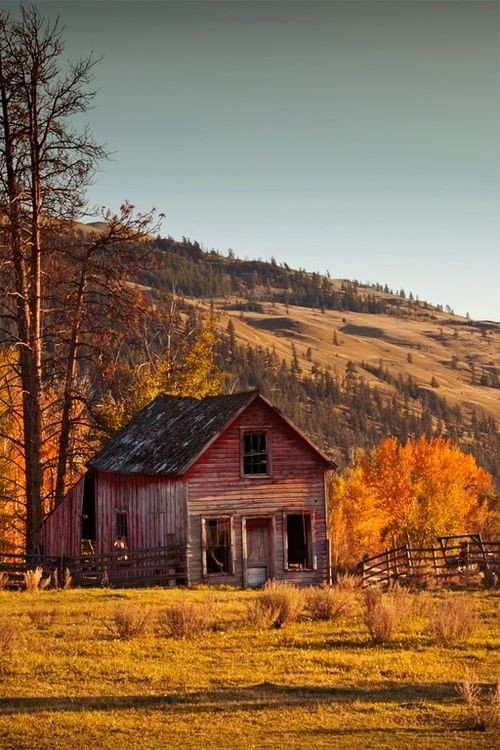 I Love The Mystery Of Old Barns...Click On Picture...