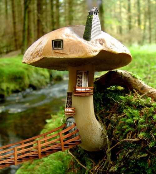 hello enchanting little mushroom house!
