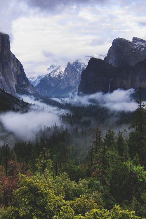 Yosemite National Park, California | kaori.