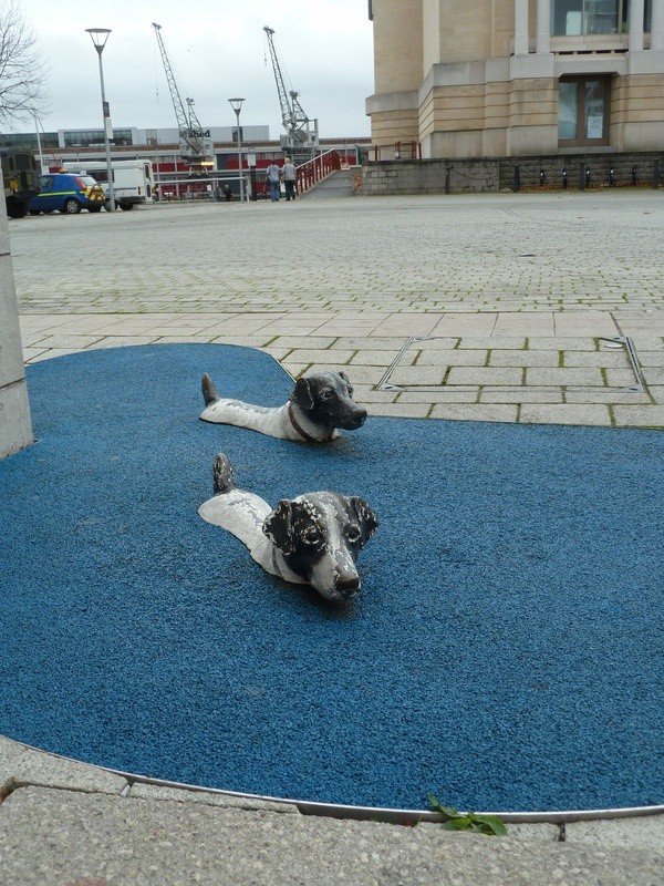 Swimming doggy street sculpture at Bristols floati...