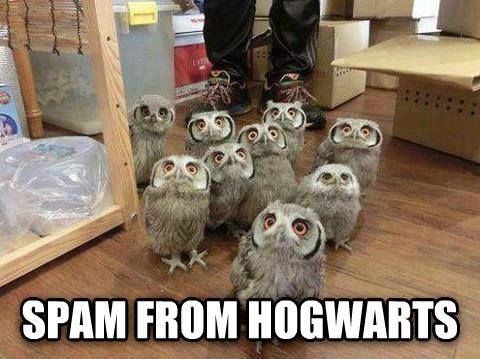 Oh my gawd! I wish I got a spam from hogwarts!
