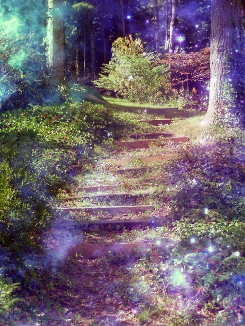Pathway........lavender-colored glasses...