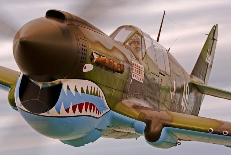 P-40E "shark"