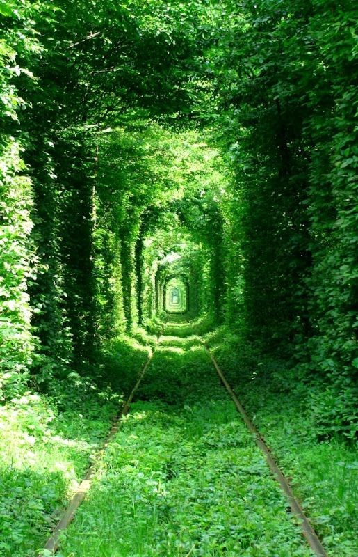 Apparently known locally as 'The Tunnel of Love' -...