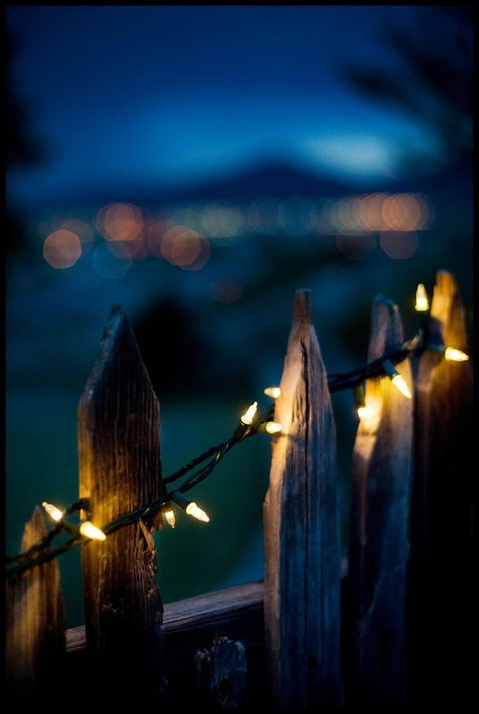 Lights on a country fence  Put up the solar fairy...