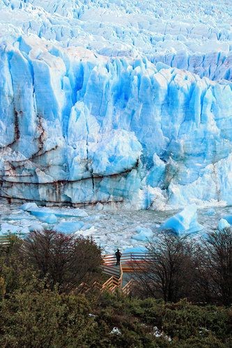 El Calafate is a city in Patagonia, Argentina. It...