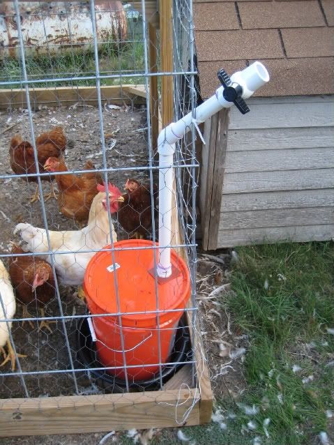 DIY chicken waterer. Has a valve that keeps critte...