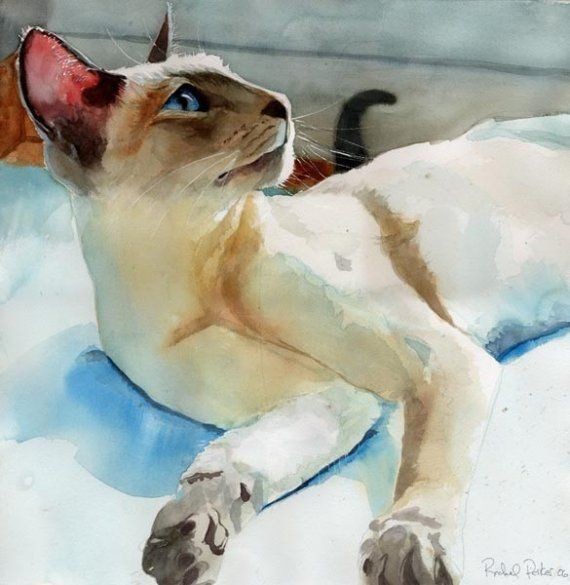 Siamese Cat Art Print of my watercolor painting Si...