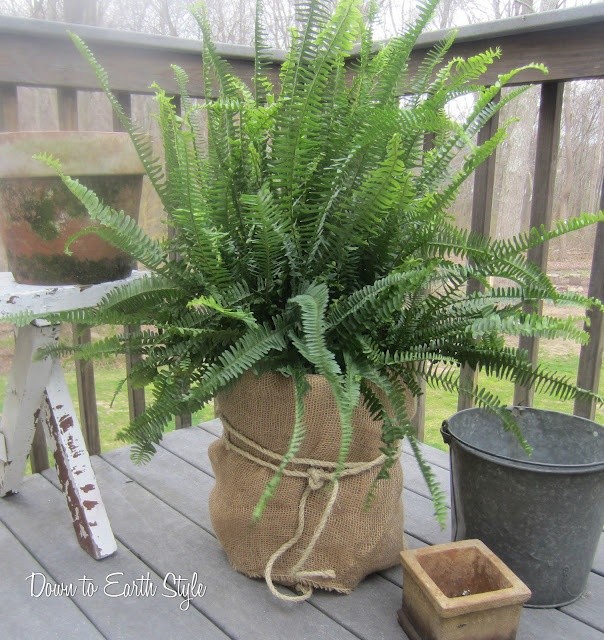 Wrap a 5 gallon bucket in burlap for a cool, easy...