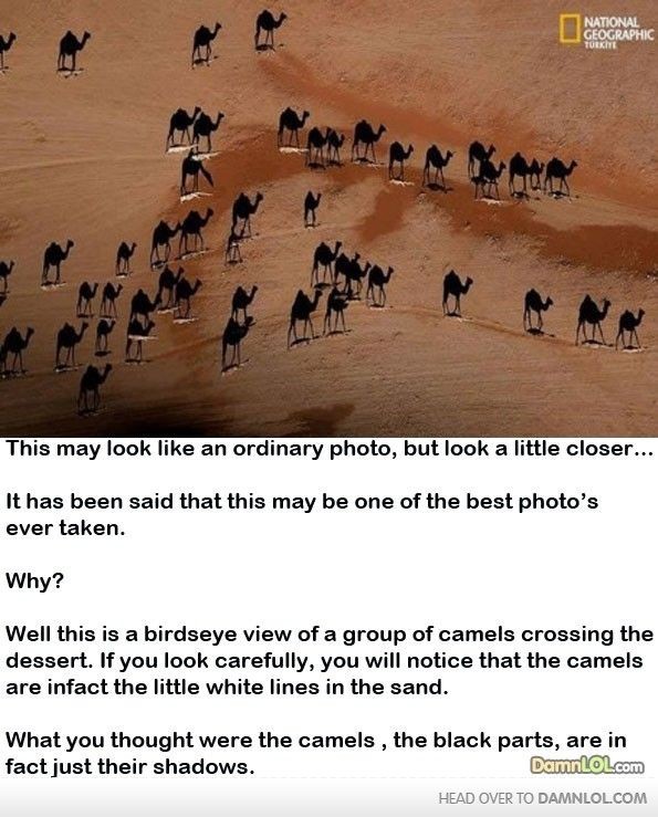Epic Photo = Mind Blown (grr, spelling mistakes in...