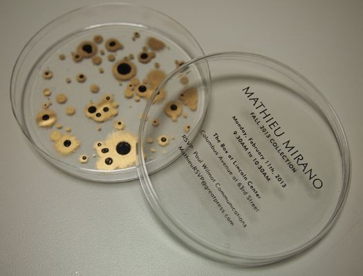 This is really stellar, petri dish packaging for a...
