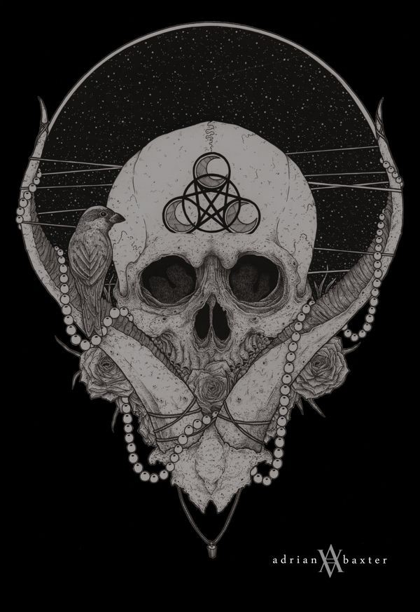 Adrian Baxter #skull #drawing #illustration