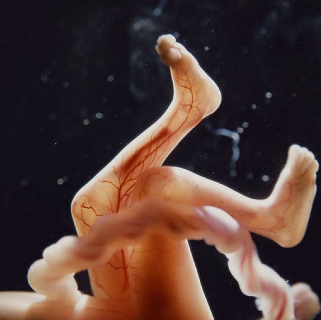 ***Top 10 Mind-Blowing Images Of Human Life In The...