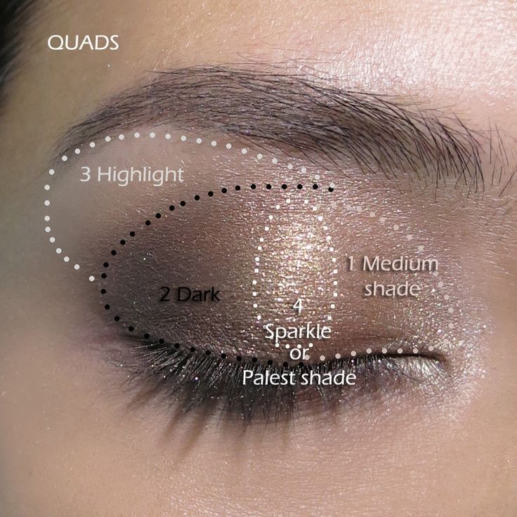 How to apply quad eyeshadow palettes #Provestra #S...