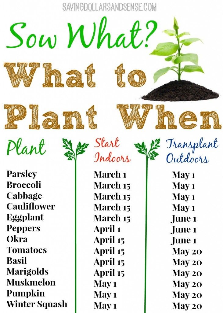Check out this handy gardening chart to know when...