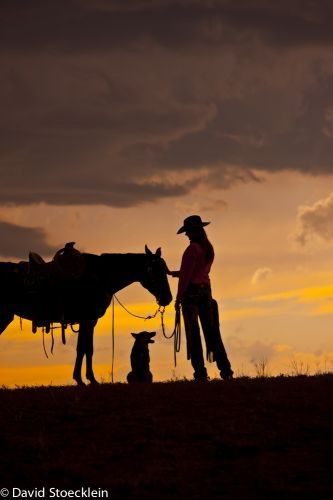 Cowgirl silhouette - cowgirl with her horse and do...