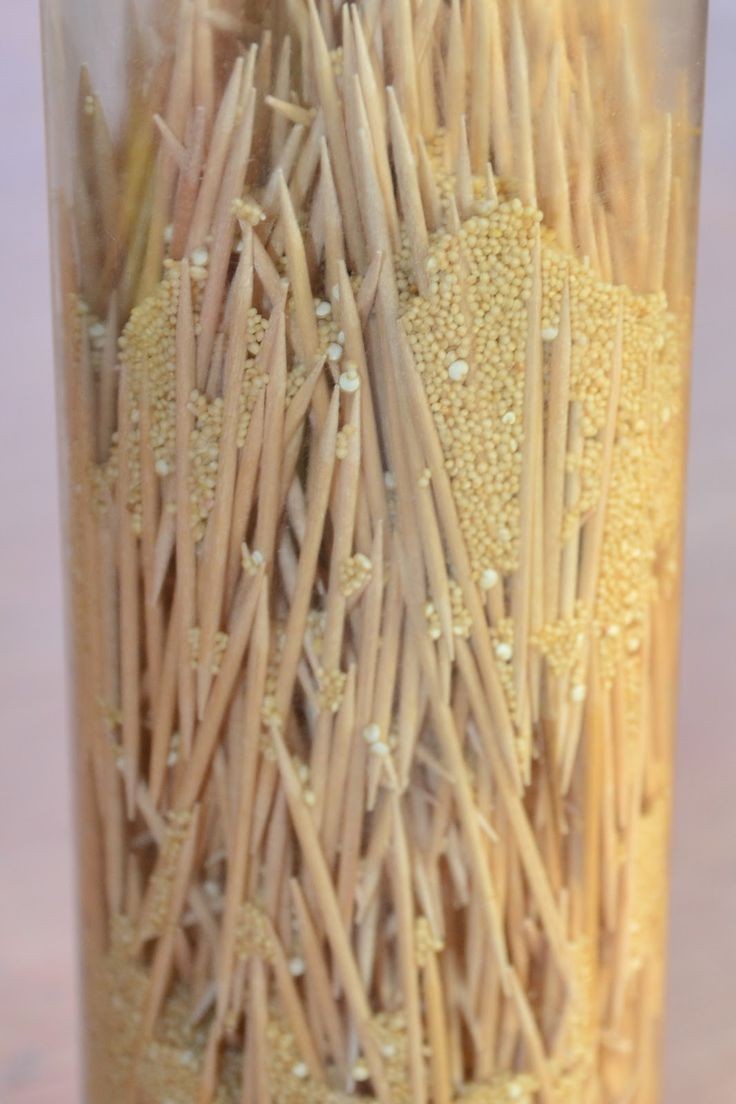 DIY Sensory Bottles: Rain Stick - made with toothp...