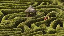 Glendurgan maze