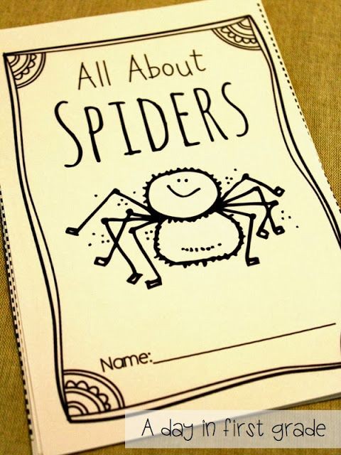 A spider reader your students will LOVE.
