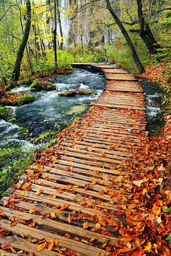 Autumn Path in Plitvice Lakes National Park, Croat...