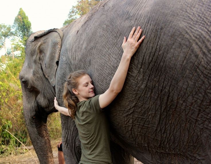 3 reputable elephant sanctuaries in Thailand   Thi...