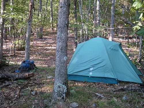 8 Tent Camping Tips For Beginners