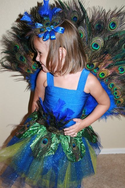 DIY peacock costume--can this come in adult sizes please? fabulous ...