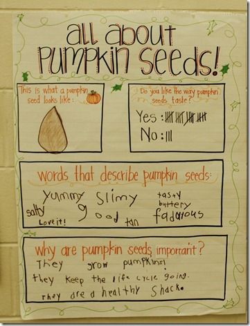 Pumpkin Seed Activities for 1st grade via The Insp...
