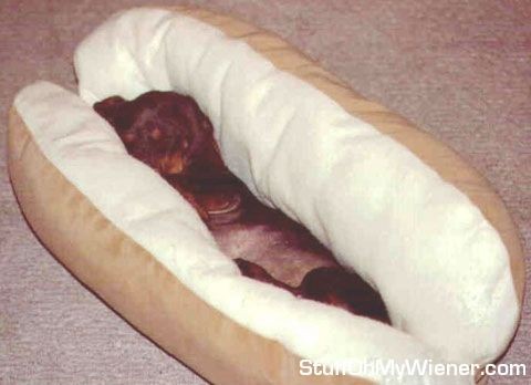 I need two of these Weiner dog beds!  So cute and...