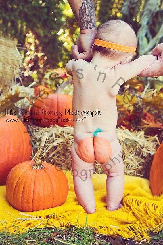 babies | 3 month | fall | pumpkin  | www.littlebit...