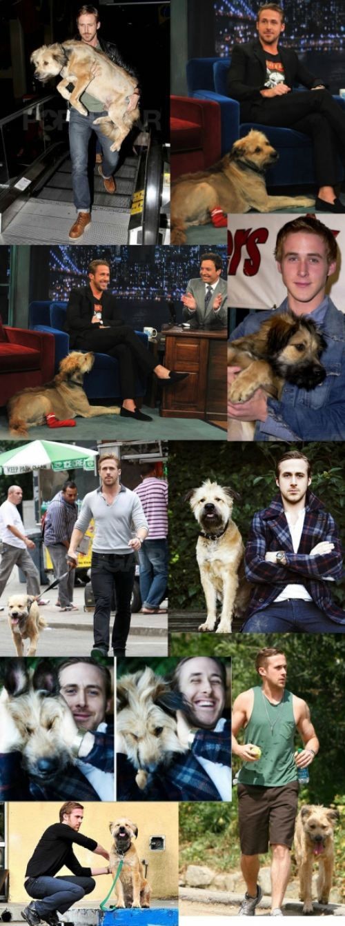 Ryan Gosling and his dog (collective sighs from wo...
