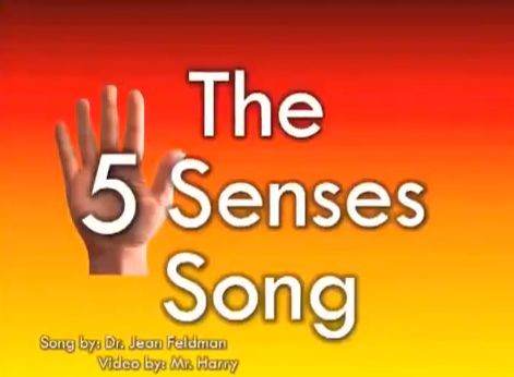 The 5 Senses Song