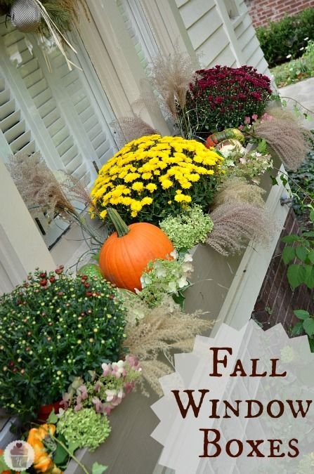 Fall Porch Decorating Ideas | SNAP!