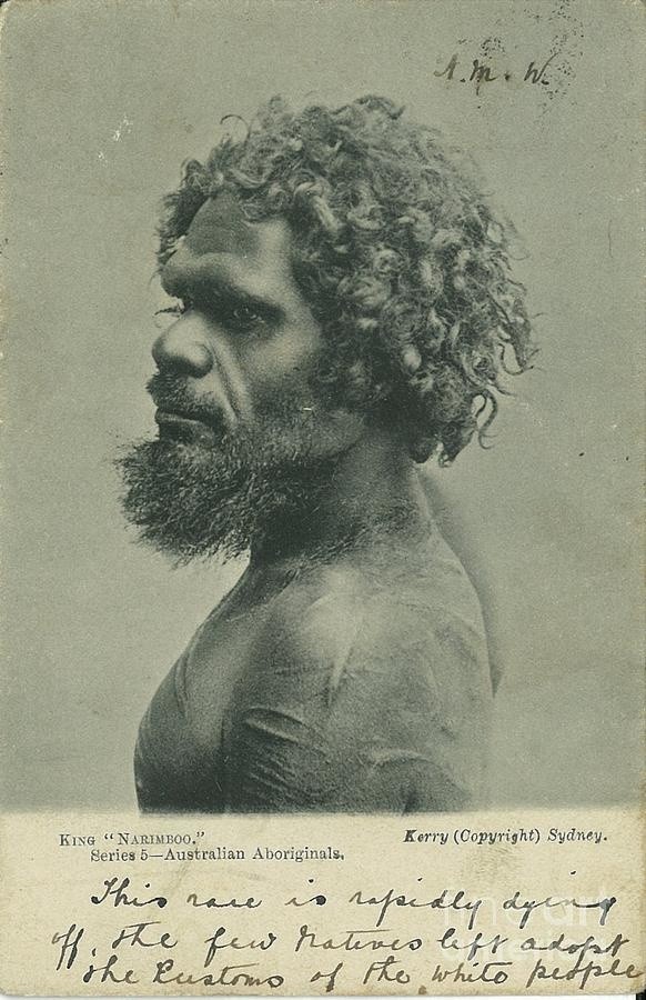 Aboriginal man Photograph by Pre Eighteenth Cetury...