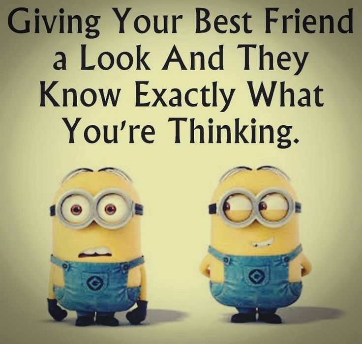 Funny minions images with funny quotes (06:15:10 P...