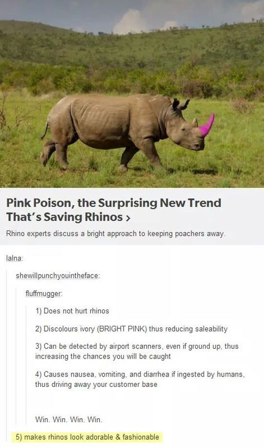 Pink rhino horn - Great idea but will it affect ca...