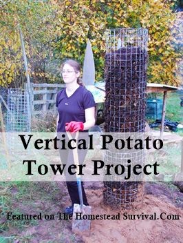 The Homestead Survival | Vertical Potato Tower Gar...