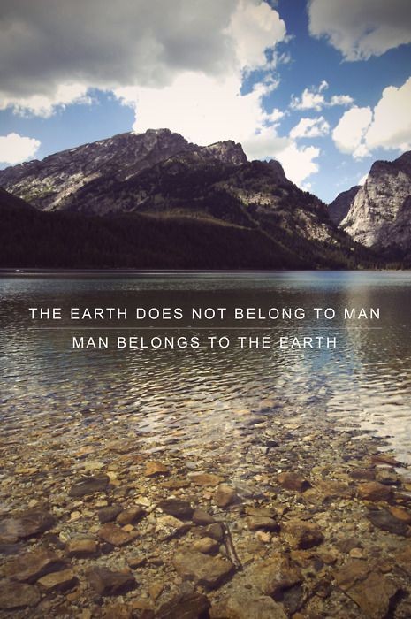 Humans belong to the earth and we are its voice an...