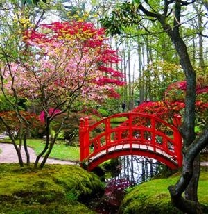 Japanese garden in Clingendael Park, The Hague,...