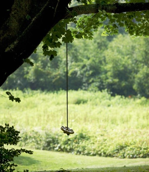 Want a swing hanging from a tree so bad for our gi...