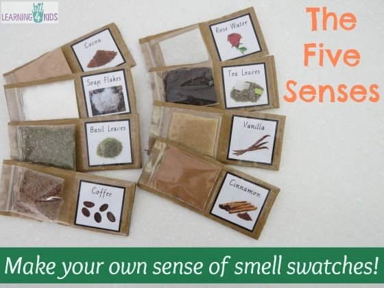 The Five Senses - Sense of Smell Activity These we...