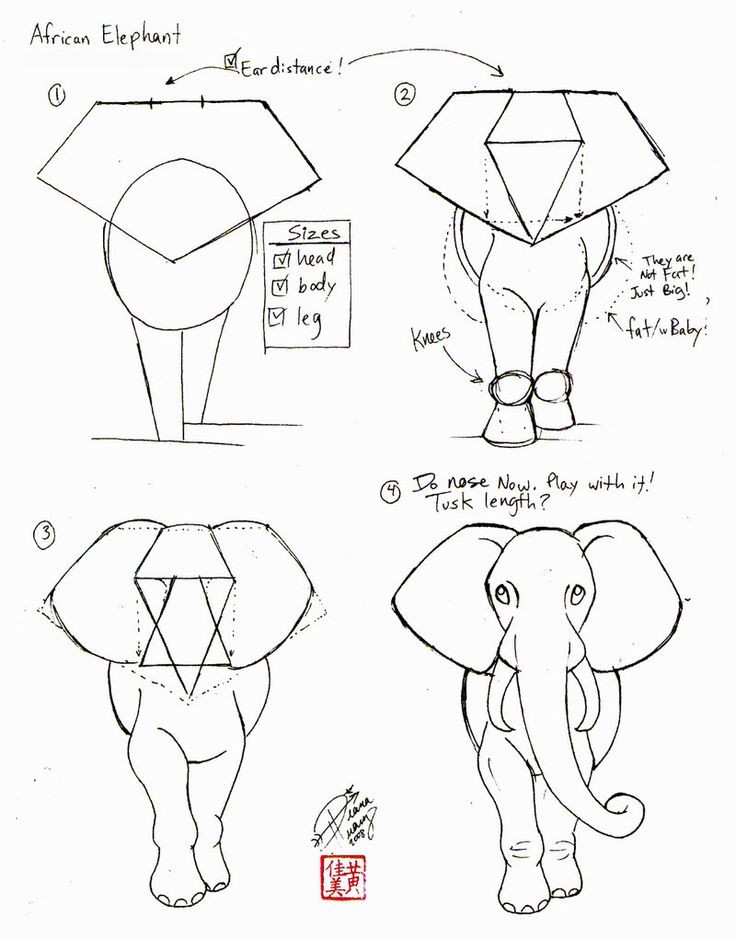 Draw an Elephant 2 part1 by ~Diana-Huang on devian...