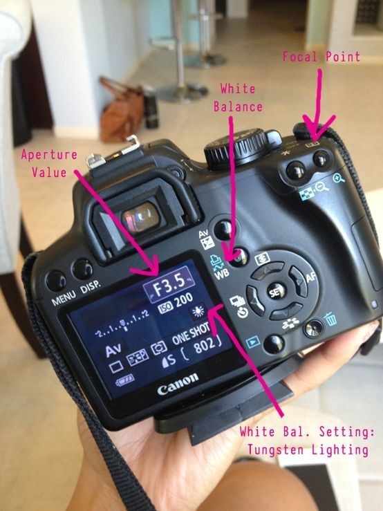 Photography 101. Seriously, this would have been n...