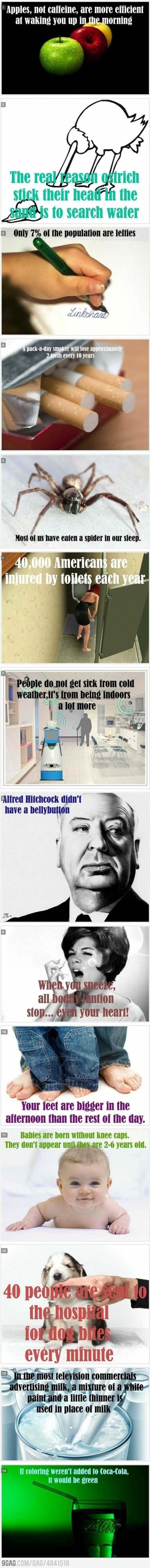 I don't think the fact about Alfred Hitchcock is t...