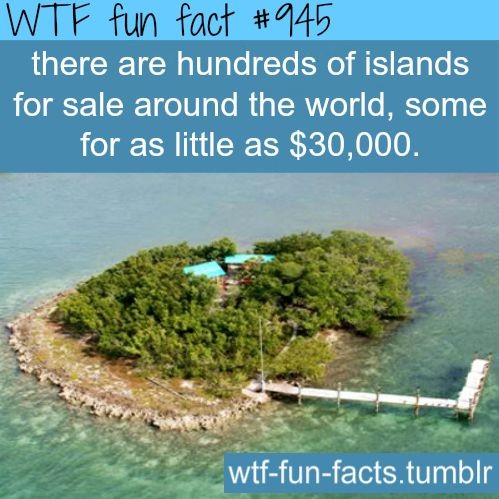 private islands for sale - facts MORE OF WTF-FUN-F...