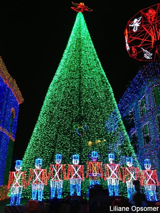 Osborne Lights Christmas Tree - truly my favorite...