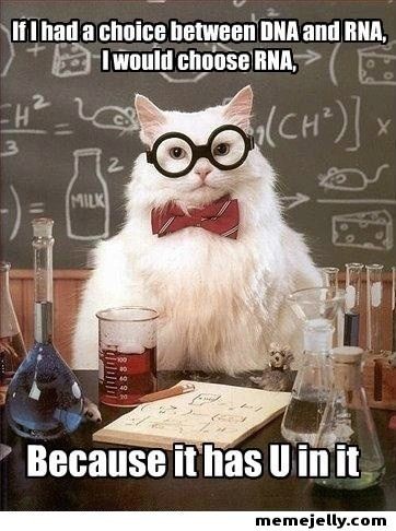 I love chemistry jokes
